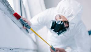 Emergency Pest Control in Oil City, PA